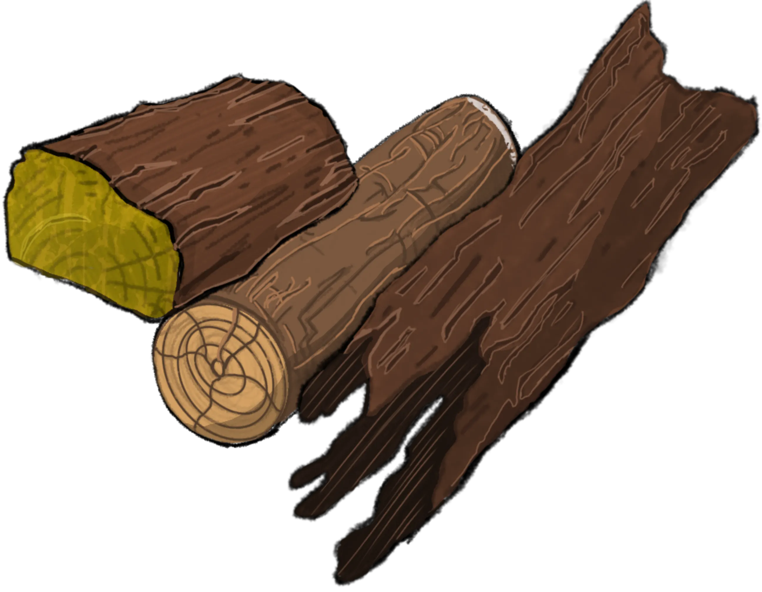 Driftwood Image